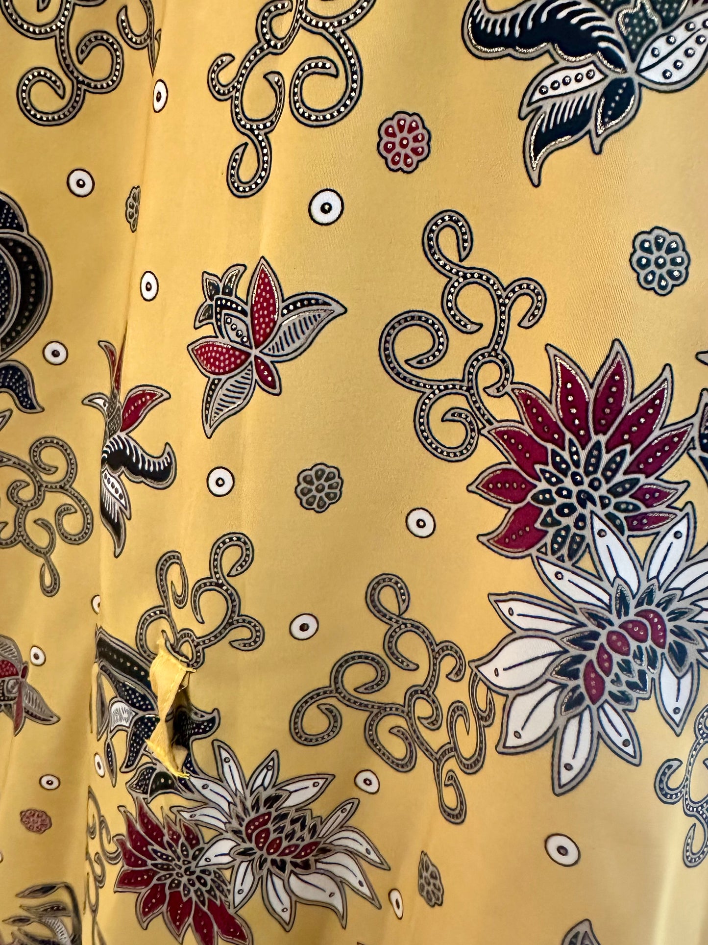 Kimono (Lang)