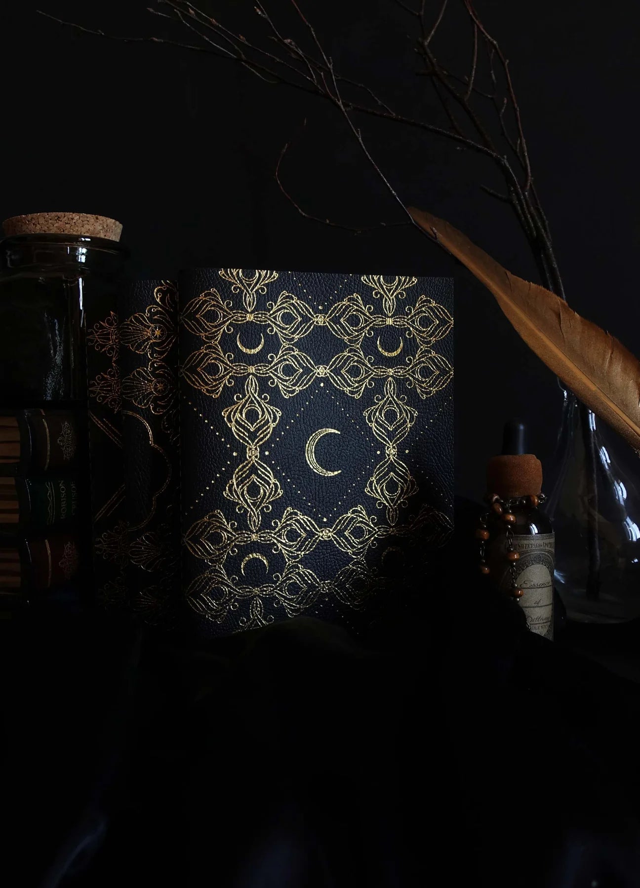 Cocorrina journal (prikker)