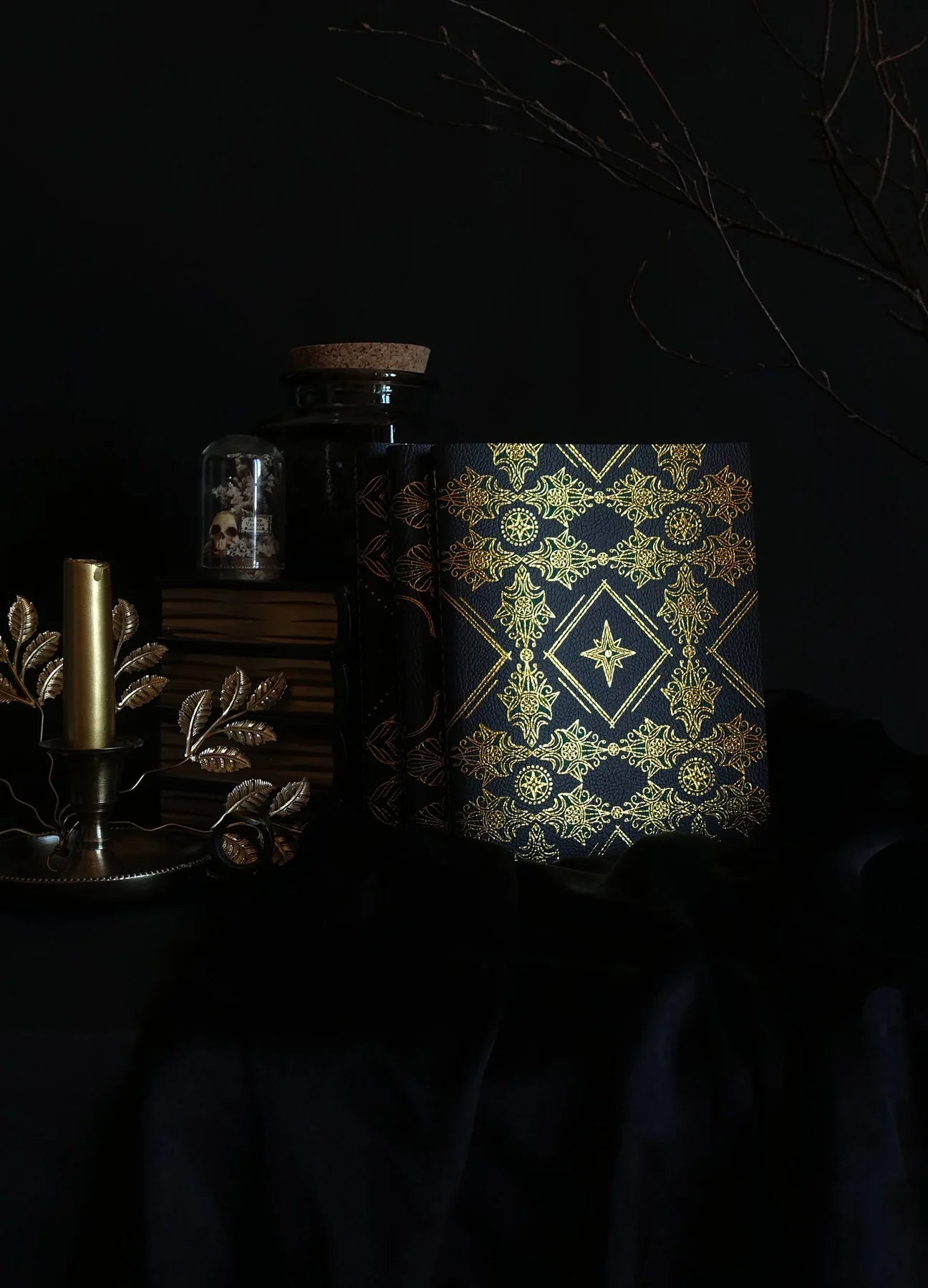 Cocorrina journal (linjer)