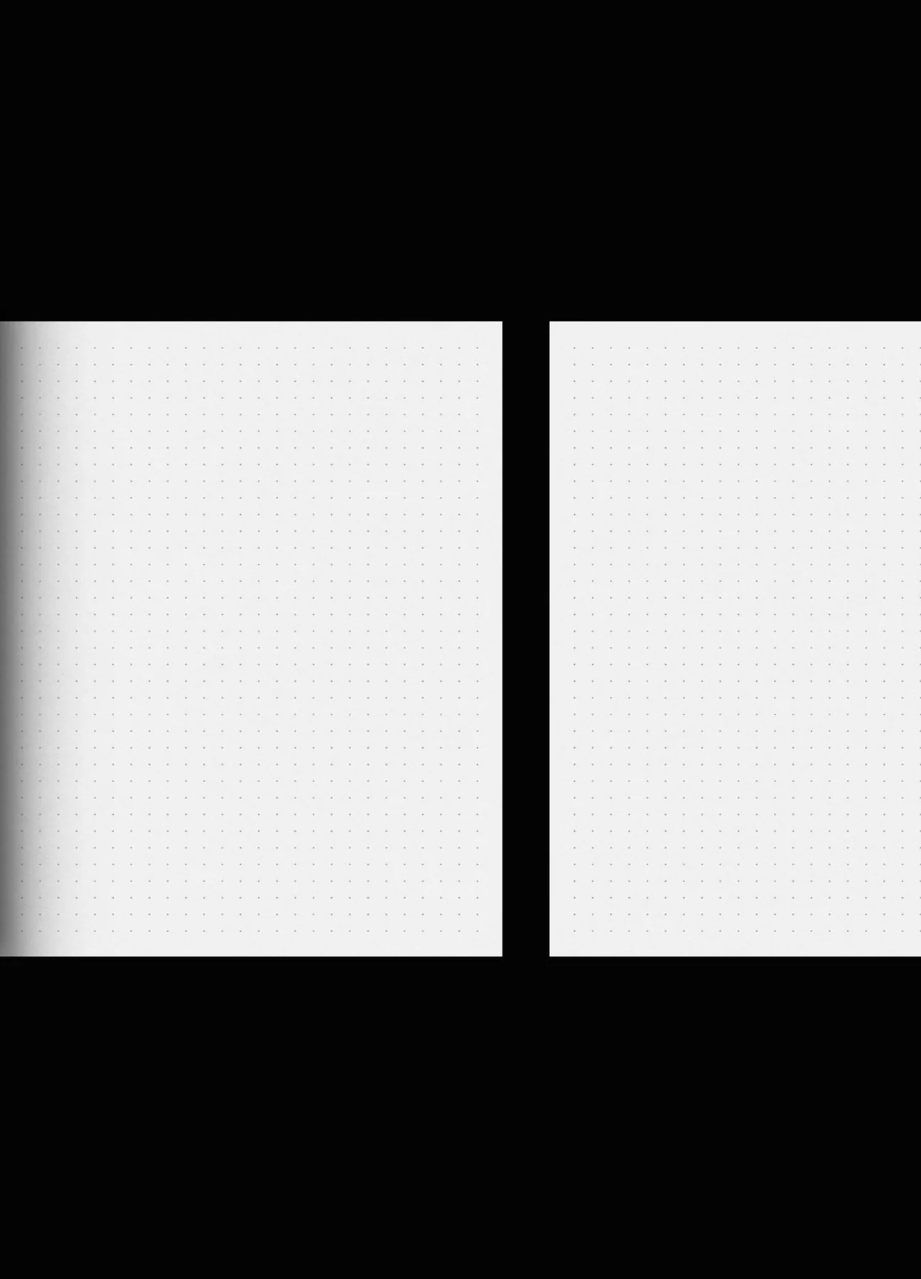 Cocorrina journal (prikker)